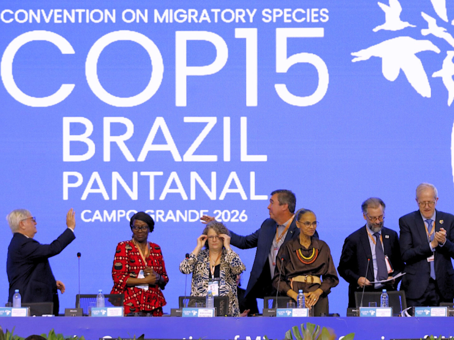 BRASIL SEDIA COP15 E ENTRA NO CENTRO DO DEBATE GLOBAL SOBRE PROTEÇÃO DE ESPÉCIES MIGRATÓRIAS
