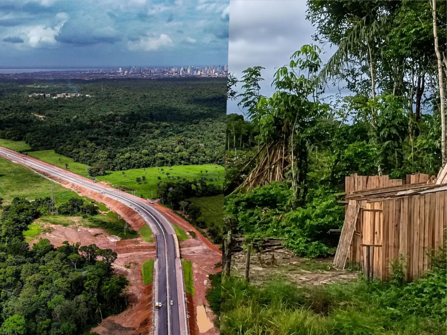 O preço do asfalto: Avenida Liberdade expõe conflito entre mobilidade, moradia e meio ambiente na Grande Belém