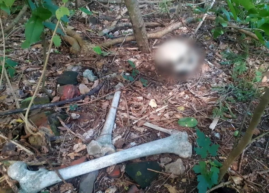 Ossada humana é encontrada às margens da Estrada de Ferro Carajás em Marabá; polícia investiga o caso.